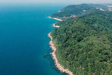 国家队战绩与训练强度关联，国家队训练强度有多大